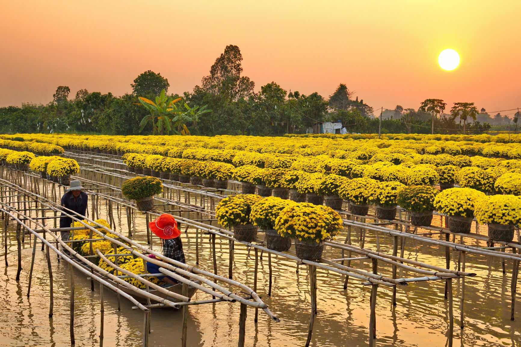 ĐỒNG THÁP